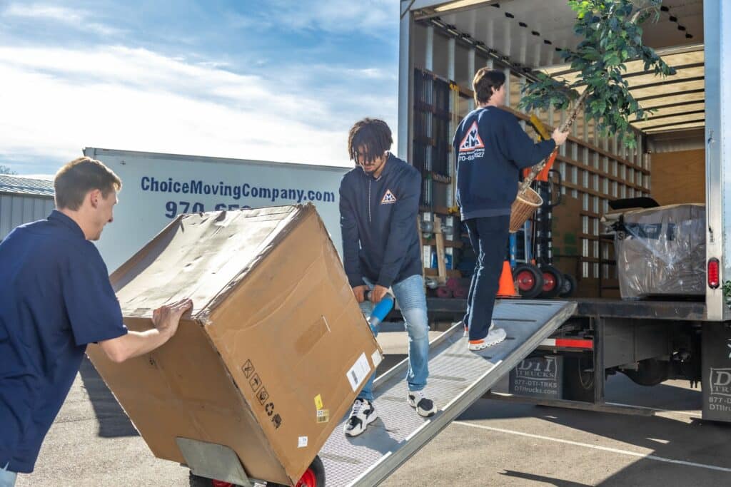 Junk Removal and Recycling